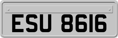 ESU8616