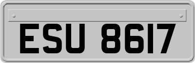 ESU8617