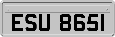 ESU8651