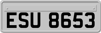 ESU8653