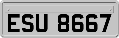 ESU8667
