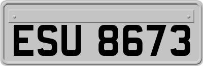 ESU8673