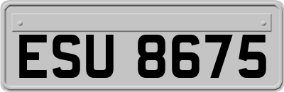 ESU8675