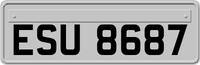 ESU8687