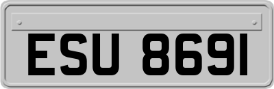 ESU8691