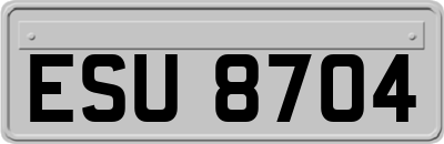 ESU8704