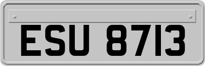 ESU8713