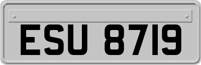 ESU8719