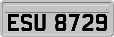 ESU8729