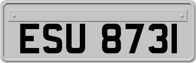 ESU8731