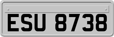 ESU8738