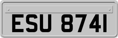 ESU8741