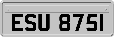 ESU8751