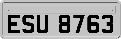 ESU8763