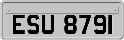 ESU8791