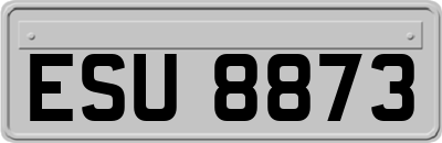 ESU8873