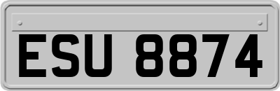 ESU8874