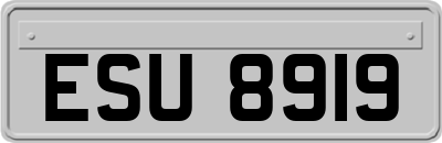 ESU8919