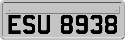 ESU8938