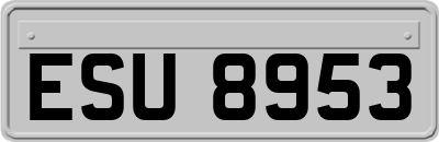 ESU8953