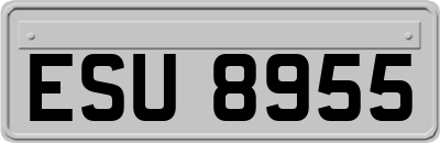 ESU8955