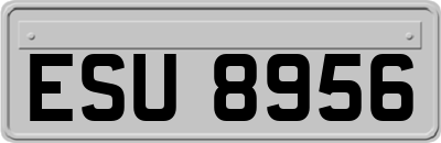 ESU8956