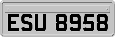 ESU8958