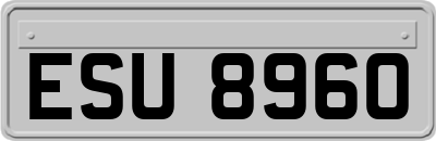 ESU8960