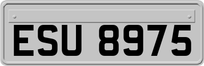 ESU8975