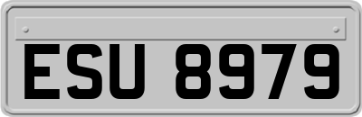 ESU8979