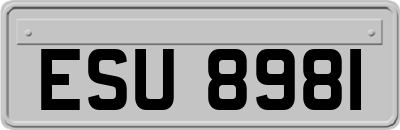 ESU8981