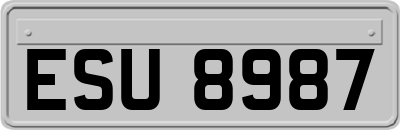 ESU8987