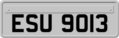 ESU9013