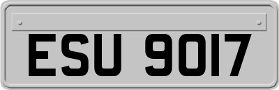 ESU9017