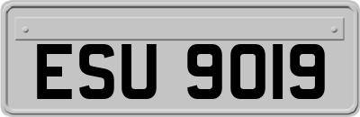 ESU9019