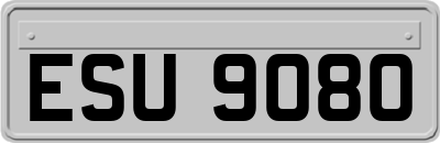 ESU9080