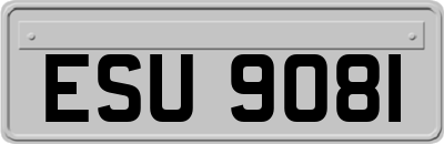 ESU9081