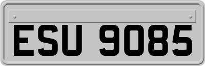 ESU9085
