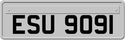 ESU9091