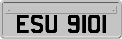 ESU9101