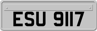 ESU9117
