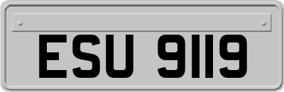 ESU9119
