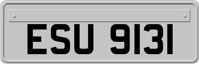 ESU9131