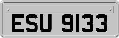 ESU9133