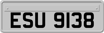 ESU9138