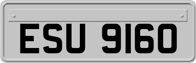 ESU9160
