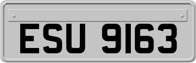 ESU9163