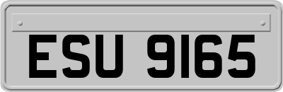 ESU9165