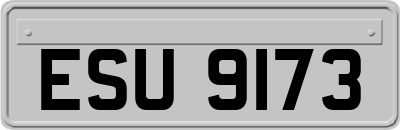 ESU9173
