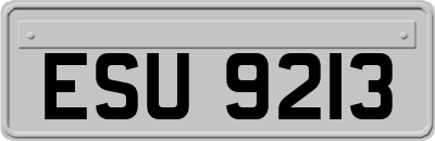 ESU9213